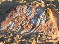 . with characteristic rock formations